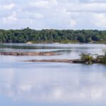 The Iwokrama Rainforest beside a broad river in Guyana.