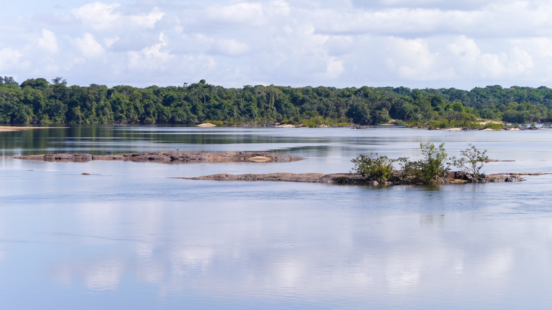 Guyana joins EU-backed programme to develop new forest investment mechanisms