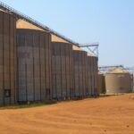 Representative agricultural grain silos used for bulk crop storage.