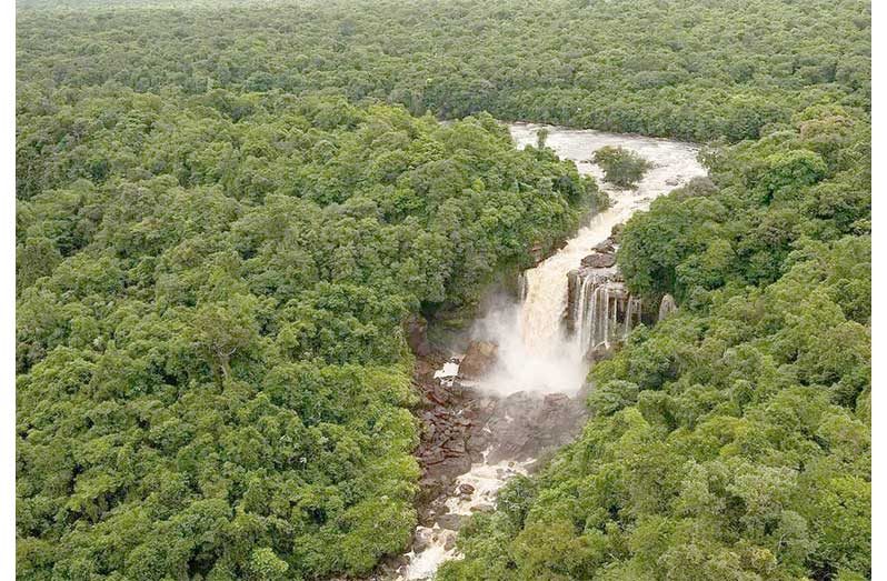 Amaila Falls Hydropower Bids Under Review as Guyana Weighs 165 MW Project