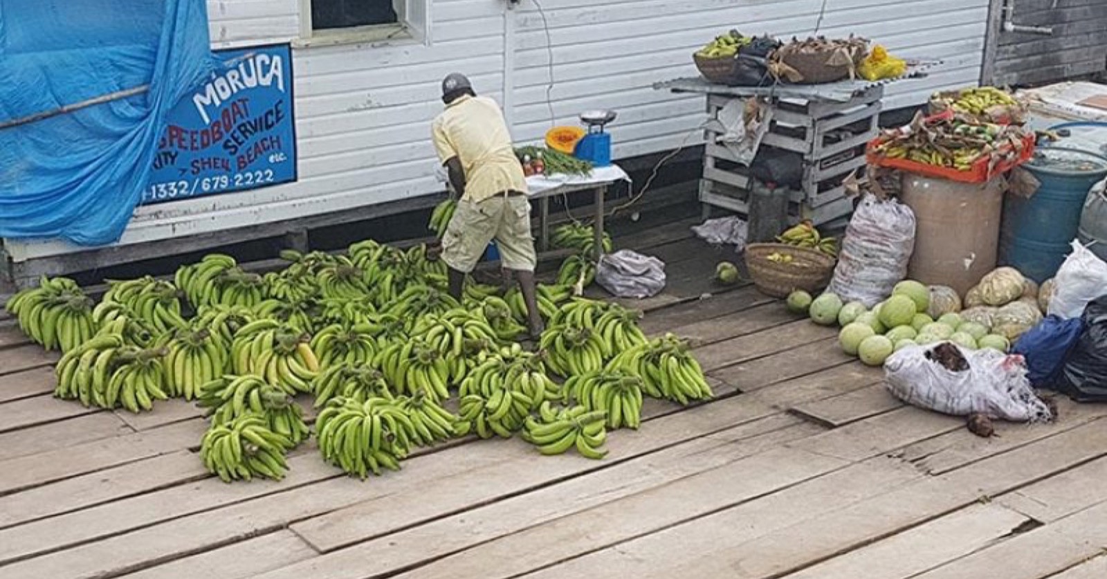 Guyana’s priority agricultural output rises 27.9% since 2020