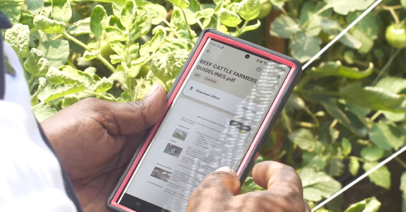 Farmers Connect reaches nearly 4,000 registered farmers in Guyana