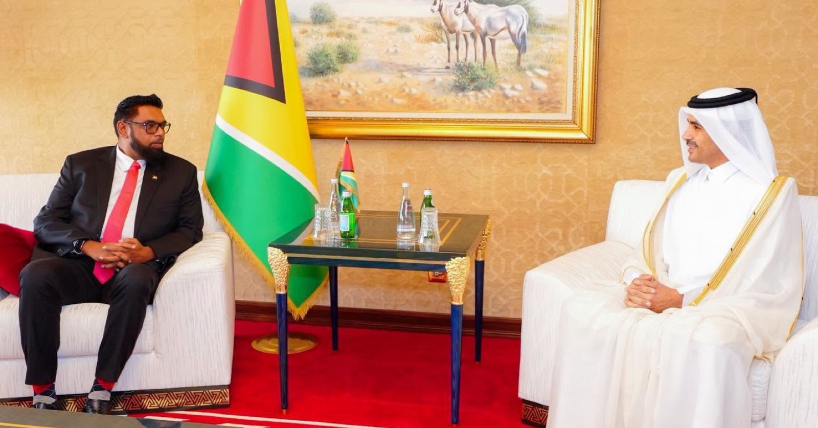 Guyana and Qatar explore deeper investment cooperation during Doha visit