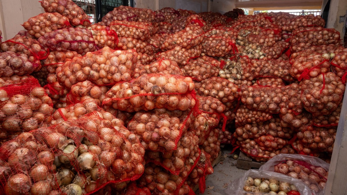 Guyana Targets 500 Acres to Replace Onion Imports