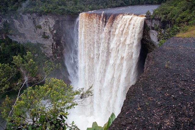 Kaieteur Falls surrounded by rainforest in Guyana, in a DPI file photograph