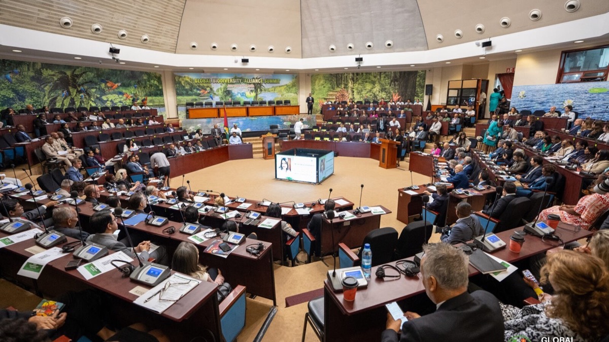 Guyana to Put Biodiversity Finance at Centre of October Summit